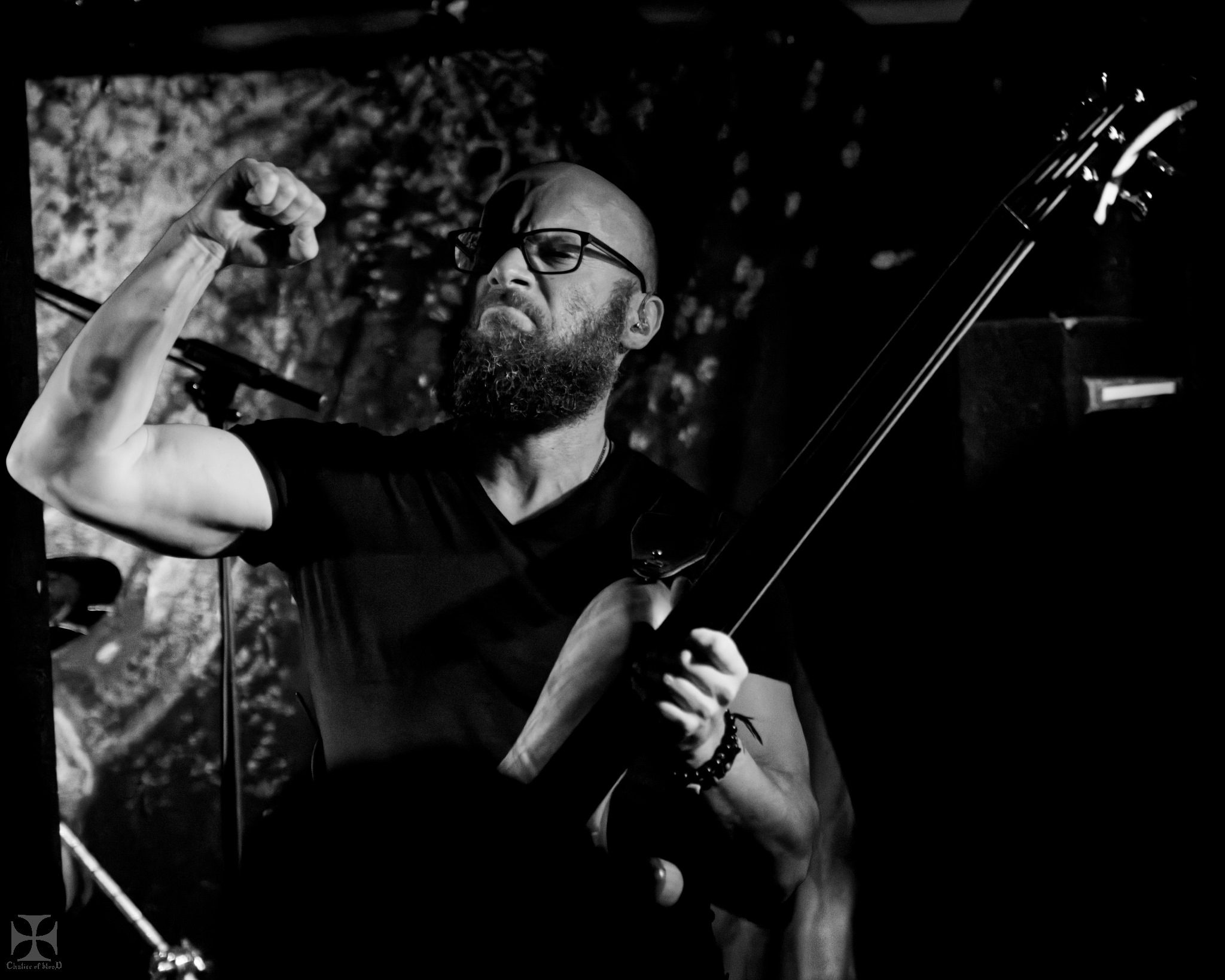 ShredFest at Whammy, Auckland, 19, 2026-03-19.